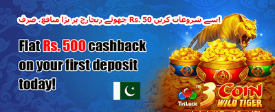 100% ویلکم میچ بونس promotion
